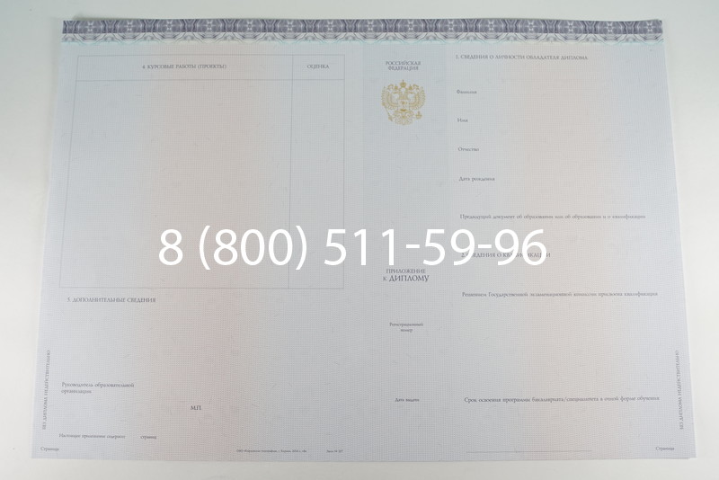 Диплом бакалавра (Киржач) 2014-2024 года в Магнитогорске