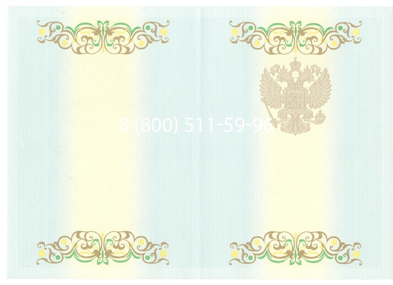 Купить Диплом бакалавра 2012-2013 годов в Магнитогорске