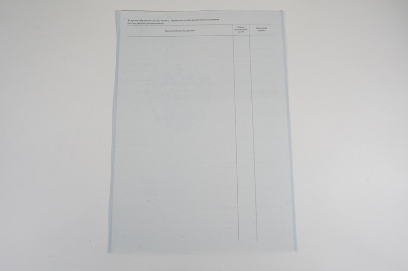 Диплом о начальном образовании 2007-2009 годов в Магнитогорске Диплом о начальном образовании 2007-2009 годов в Магнитогорске